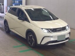 BYD Dolphin 2025