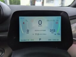 
										BYD Dolphin 2025 full									