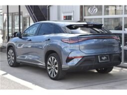 
										BYD Sealion 7 full									