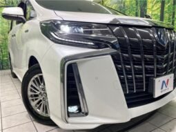 
										Toyota Alphard Hybrid SR full									
