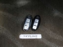 
										Nissan Skyline full									