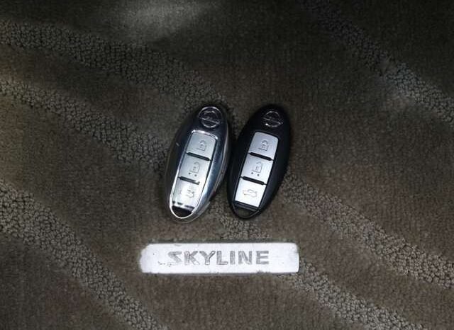 
								Nissan Skyline full									